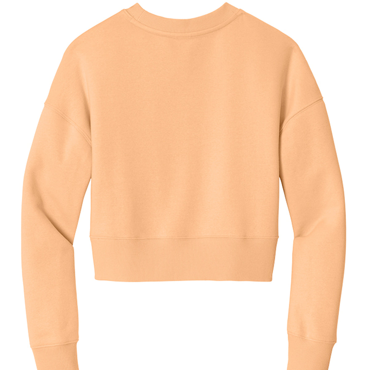 Apricot - DT1105 - BACK