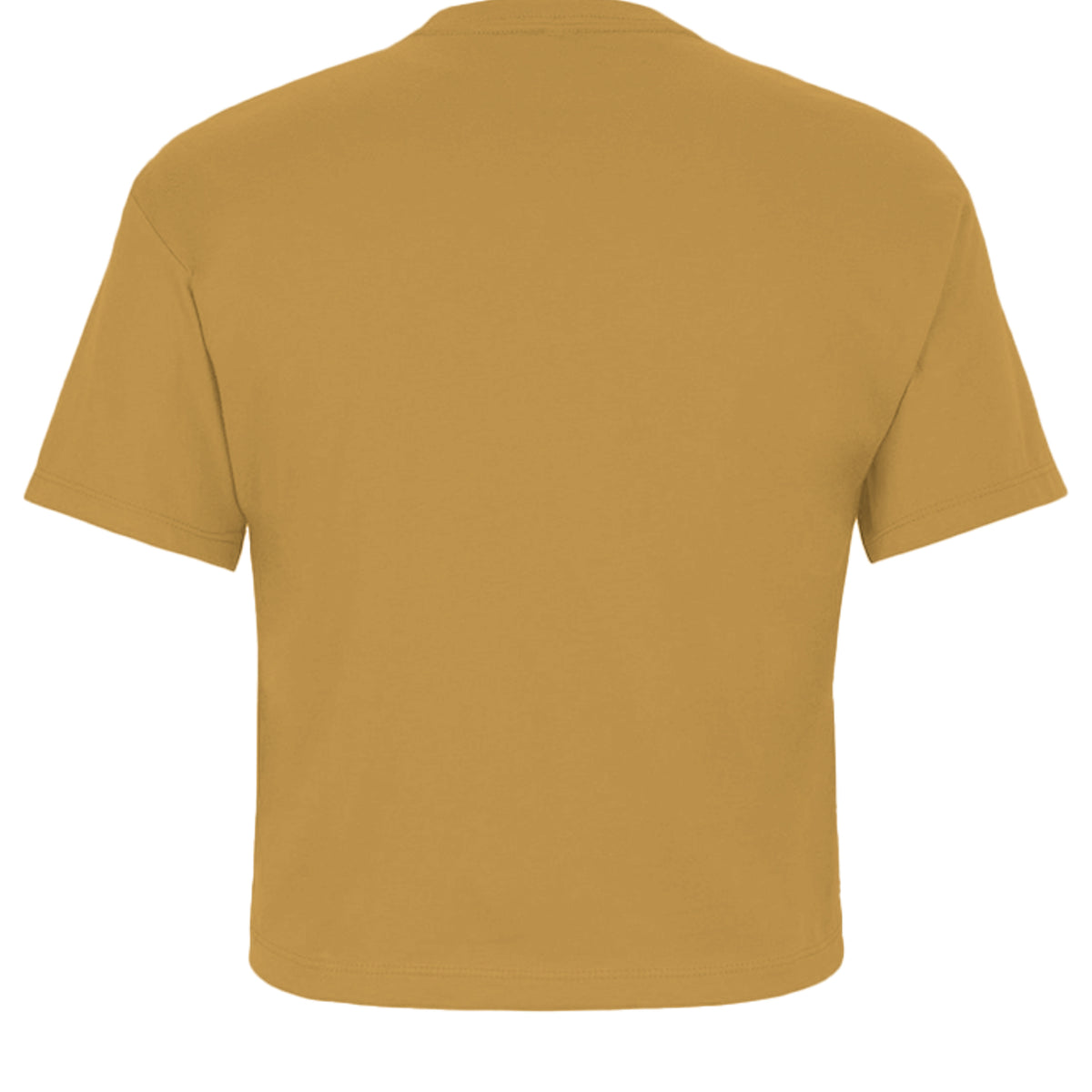 Antique Gold - 1580NL - BACK